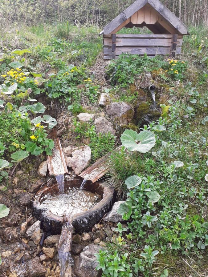 Rekreacny Dom Tyrkys Villa Poprad Bagian luar foto